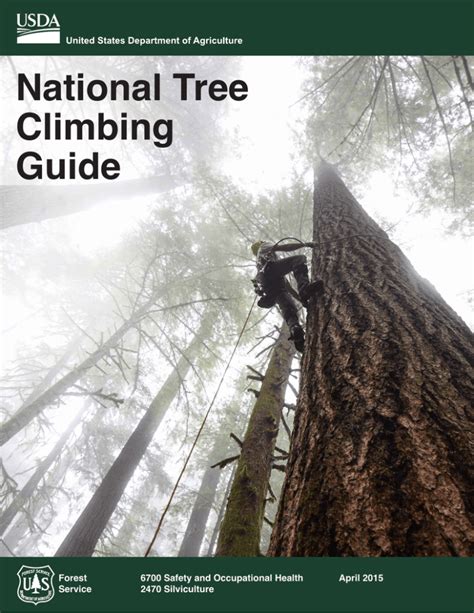 Tree Climbing Guide 2012