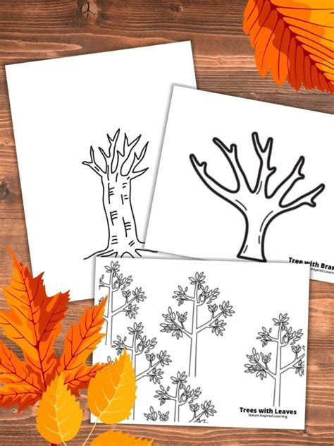 Tree Coloring Pages Nature Inspired Learning Bare Tree Coloring Page - Bare Tree Coloring Page