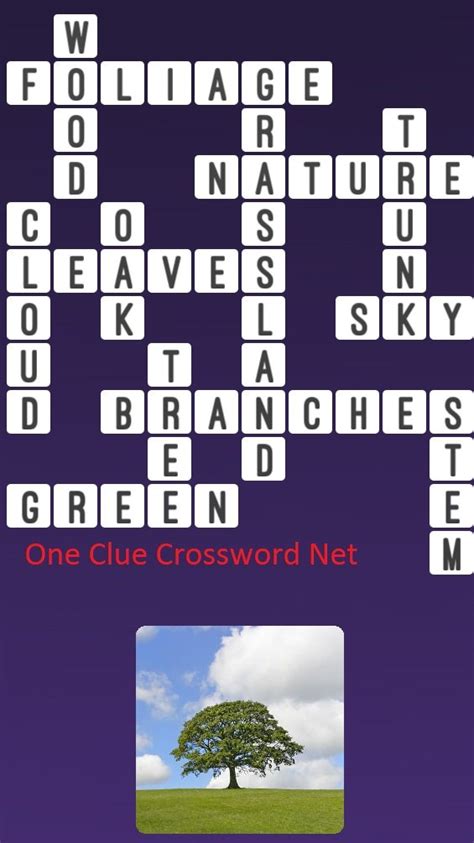 Tree Crossword Clue