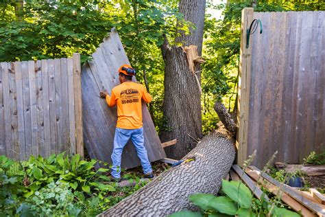 tree cutting on property line