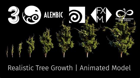 Tree Growth Alembic