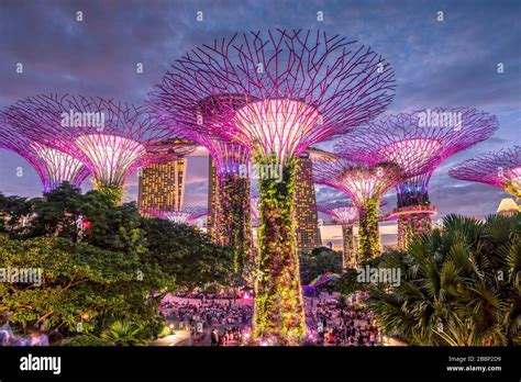 tree light show singapore