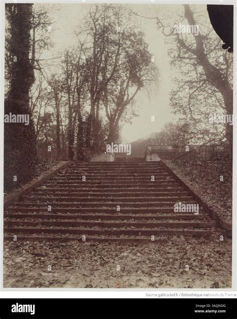 tree lined path eugene atget biography