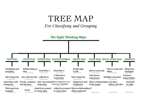 tree map Google Search Thinking maps, Tree map, Circle map