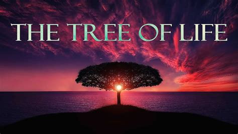 tree of life logic instrumental