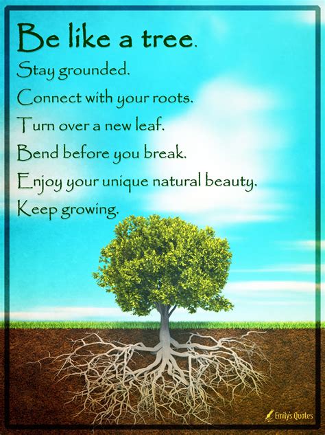 Tree Of Life Quotes