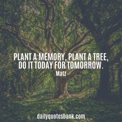 Tree Planting Quotes