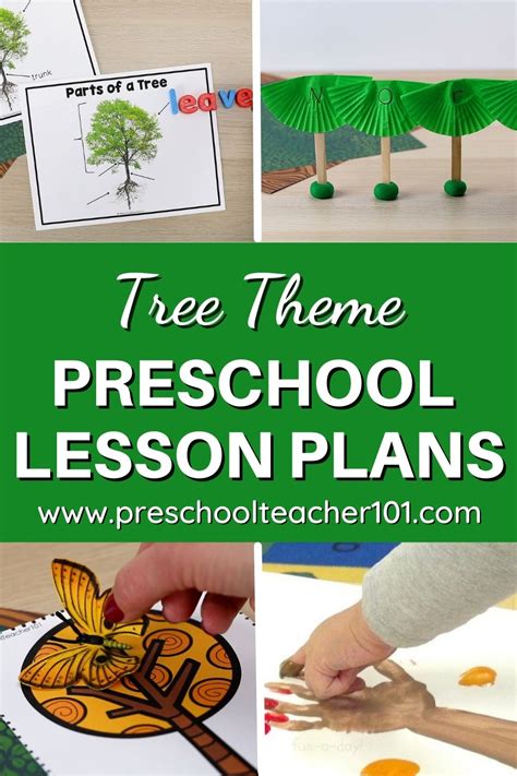 Tree Theme For Preschool Curriculum Teach Amp Learn Food That Grows On Trees Preschool - Food That Grows On Trees Preschool