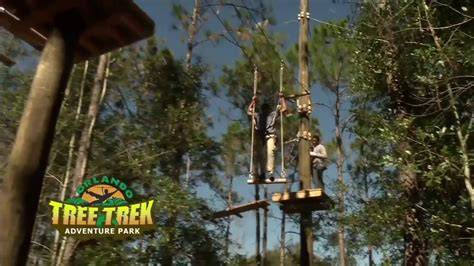 tree trek florida