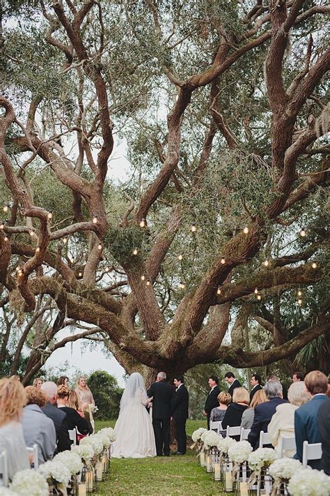 tree wedding