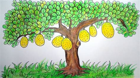 tree with fruits drawing