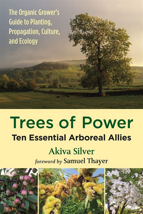Trees Of Power Ten Essential Arboreal Allies