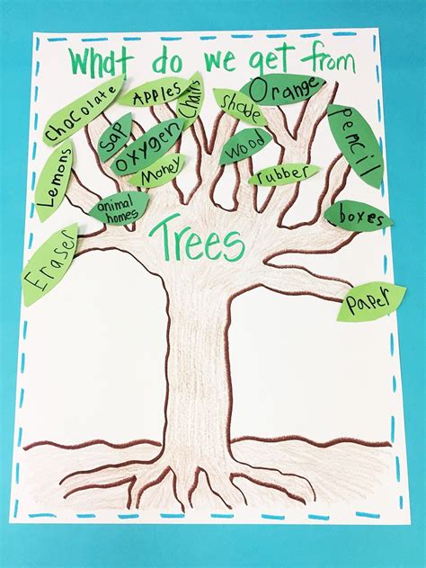 Trees Page 2 Letu0027s Learn All About It Tree Identification Worksheet - Tree Identification Worksheet