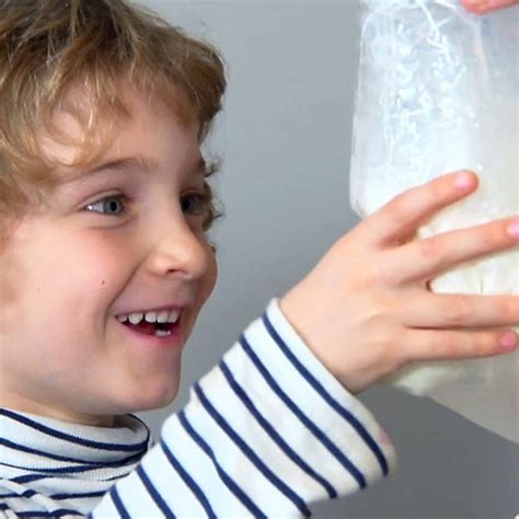 Download Trees Teacher Resource Bbc 