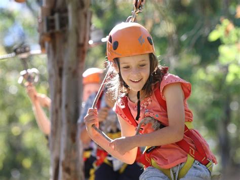 treetops holidays 4