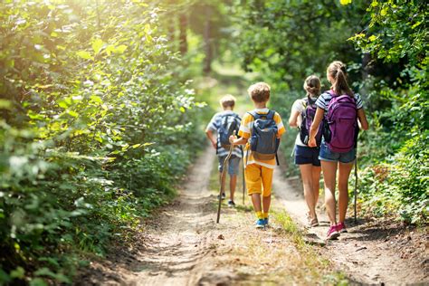 Download Trekking On A Trail Hiking Adventures For Kids 