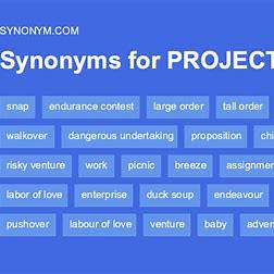 Projects Synonym