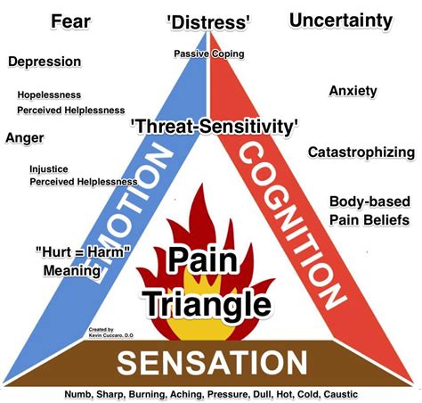 Triangle Of Pain