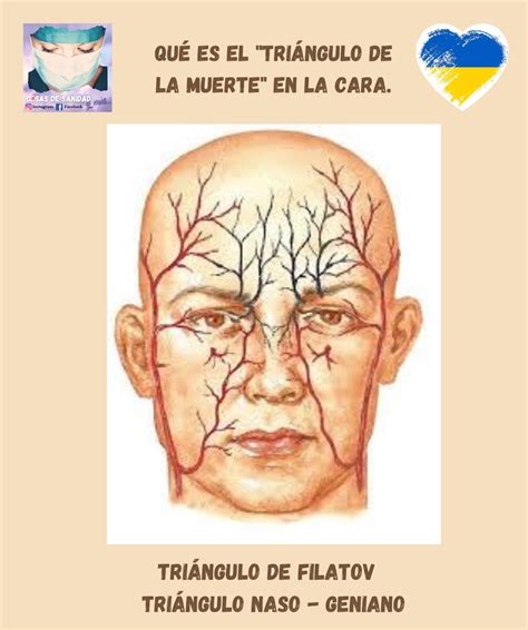 Triangulo De La Muerte