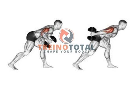 Triceps Coice Halter