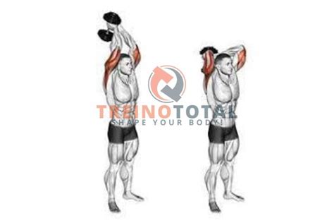 Triceps Frances Com Halter
