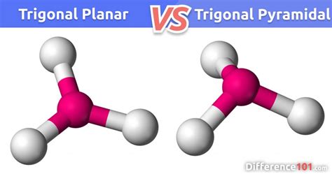 Trigonal Pyramidal Vs Trigonal Planar