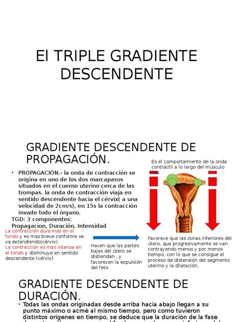 Triple Gradiente Descendente