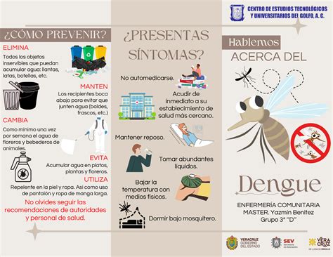 Triptico Del Dengue