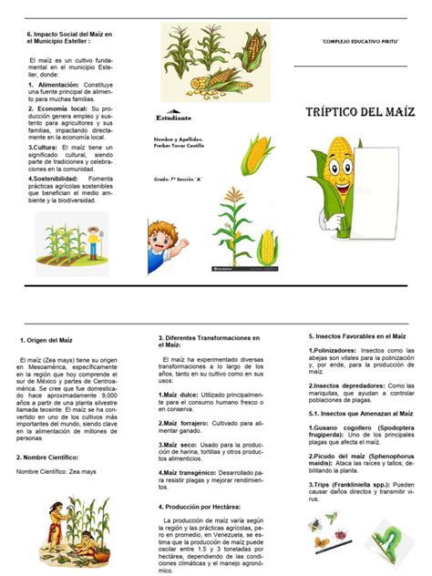 Triptico Del Maiz