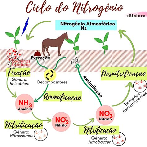 Trióxido De Nitrogênio