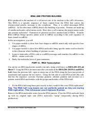 Full Download Trna And Protein Building Lab 25 Answers Ignorecache True 
