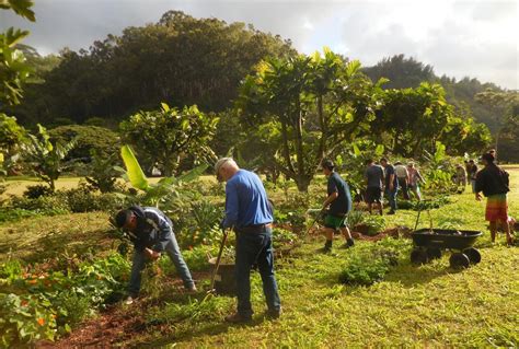 Tropical Agroforestry