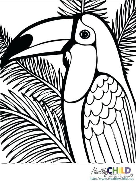 Tropical Rainforest Animals Coloring Pages Getcolorings Com Rainforest Animal Color Pages - Rainforest Animal Color Pages