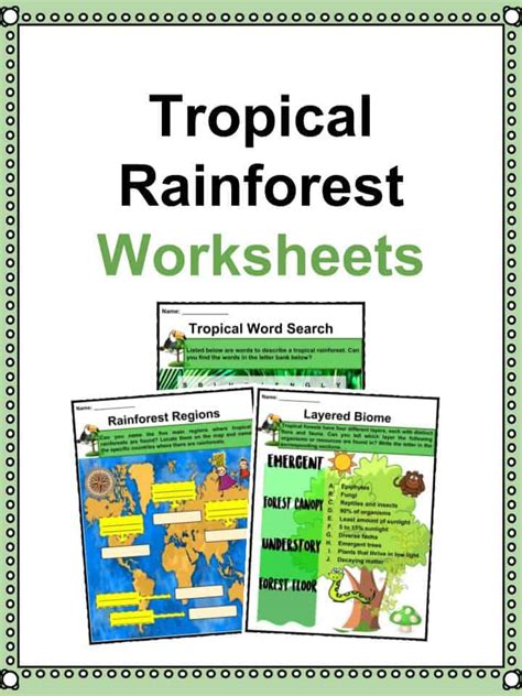 Tropical Rainforest Worksheet Along With Climate Graph Climate Graph Worksheet - Climate Graph Worksheet