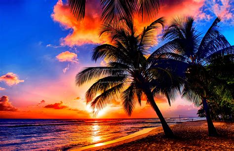 Tropical Sunrise Wallpaper