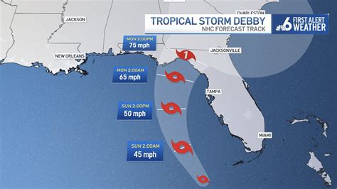 tropical update florida