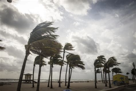 tropical.storm.florida