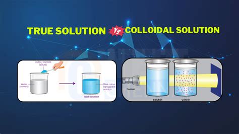 True Solution