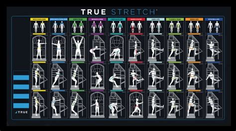 True Stretch Cage Exercises