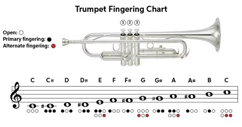 Download Trumpet Guide 