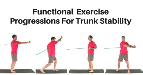 Trunk Stability