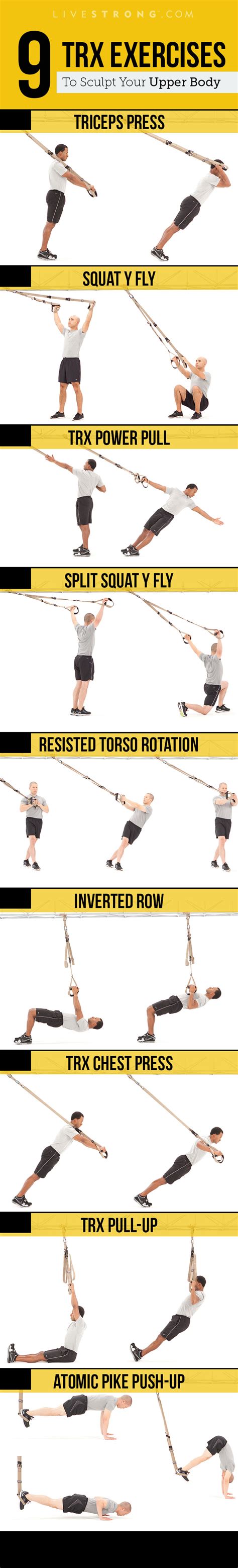Download Trx Force Workout Guide 