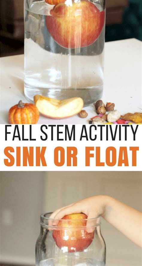 Try This Super Easy Fall Sink Or Float Sink Or Float Science - Sink Or Float Science