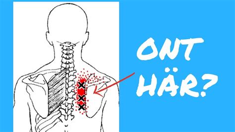 tryck  ovan  motsats till vänster  blad bröstet