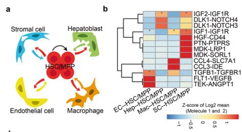 Where to watch Liverpool vs Real Madrid live stream FREE online TechRadar