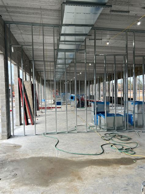 Newport Jazz Festival 2025 California Noor Amelia