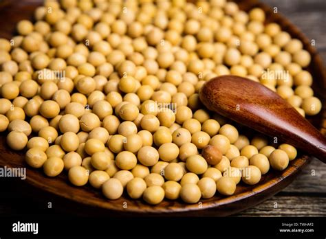 Birkenhead Point Factory Outlet Centre is One of Sydney`s Most Loved Shopping Destinations