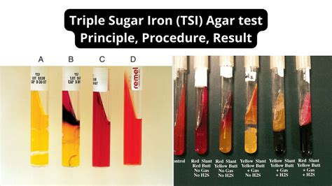 tsi testing reviews