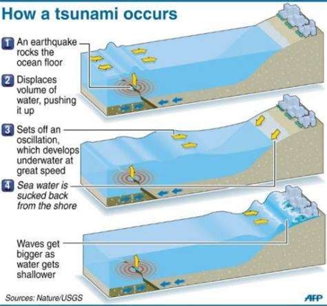 Tsunami Description