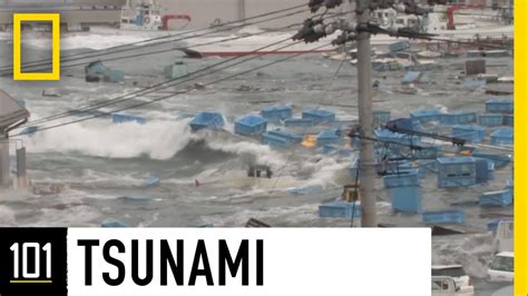 Tsunami Facts And Information National Geographic Tsunamis Science - Tsunamis Science